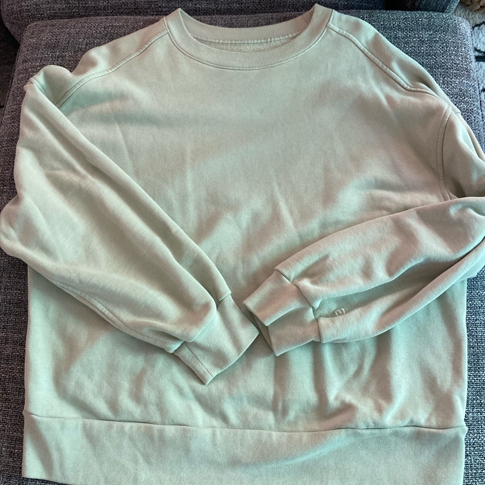 Everlane Track Oversized Crew